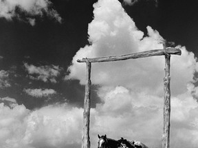 This photo courtesy of the Barry & Peggy Goldwater Foundation,  a Navajo pony stands near a trading post in photograph taken by Barry Goldwater in 1938 in Tonalea, Ariz.  The late Sen. Barry Goldwater's granddaughter is working to preserve the thousands of images of Arizona landscapes and Native Americans that he created over his lifetime. Twenty years after the Republican icon's death, Alison Goldwater Ross has formed a foundation to digitize and repair the images.
