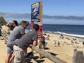 FILE - In this Sept. 15, 2018 file photo, people look out at the shore after a shark attack at Newcomb Hollow Beach in Wellfleet, Mass., where a 26-year-old was attacked and later died at a hospital. Before beaches reopen in 2019, Cape Cod is trying to determine ways to respond to the Wellfleet attack, the state's first shark attack fatality in more than 80 years, and to another shark attack where a 61-year-old man was badly injured while swimming off Truro, Mass., on Aug. 15.