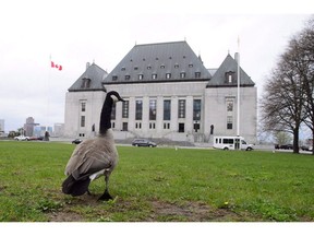 A Canada goose walks on the front lawn of the Supreme Court of Canada in Ottawa on May 10, 2018.