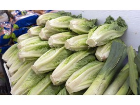 Romaine lettuce is seen at market in Montreal on Thursday, Nov. 22, 2018. A string of high-profile produce recalls may lead to shortages of the most recent culprits ahead of the holidays. But, even if cauliflower and some lettuce varieties stay in stock, experts say consumers may be hesitant to buy these and serve them as part of a big, family meal.THE CANADIAN PRESS/Paul Chiasson