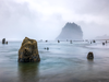 The Neskowin Ghost Forest on the Oregon coast is evidence of significant, rapid change in the coastline, likely due to the 1700 Cascadia earthquake.