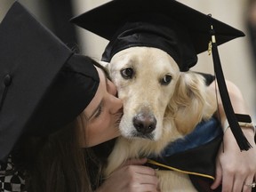 "Griffin" Hawley, the Golden Retriever service dog, is given a congratulations hug by his owner Brittany Hawley after being presented an honorary diploma by Clarkson, during the Clarkson University "December Recognition Ceremony" in Potsdam, N.Y., Saturday Dec. 15, 2018. Griffin's owner, Brittany Hawley, also received a graduate degree in Occupational Therapy. Both attended 100% of their classes together.
