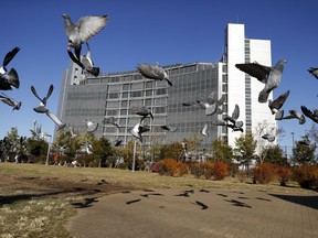 Pigeons fly near Tokyo Detention Center, where former Nissan chairman Carlos Ghosn and another former executive Greg Kelly, are being detained, in Tokyo Tuesday, Dec. 25, 2018. A Japanese court approved prosecutors' request on Sunday, Dec. 23,  to keep Nissan's former chairman Carlos Ghosn in detention for another 10 days.