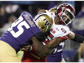 Washington defensive lineman Levi Onwuzurike (95) hits Utah quarterback Jason Shelley after Shelley threw a pass during the first half of the Pac-12 Conference championship NCAA college football game in Santa Clara, Calif., Friday, Nov. 30, 2018.