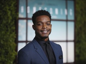 Cast member Stephan James arrives at the Los Angeles premiere of "Homecoming" in Los Angeles on October 24, 2018.