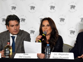 Mexican actress Kate del Castillo with her lawyer Federico Mery-Sanson (L) and Alejandro Rojas (R), speaks during a press conference in Mexico City on December 20, 2018. - Mexican actress Del Castillo was called by the Attorney General to give information  after meeting with US actor Sean Penn and Mexican drug trafficker Joaquin Guzman Loera aka "Chapo Guzman" in October 2015.