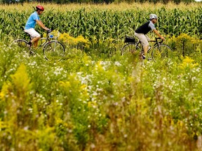 Cyclists ride their bikes along Concession 5 through the Greenbelt in Ajax, Ontario, September 9, 2009.