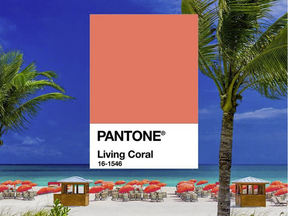 Living Coral is Pantone's 2019 Colour of the Year.