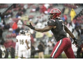 South Carolina wide receiver Deebo Samuel (1) celebrates his third touchdown during the first half of an NCAA college football game against Akron Saturday, Dec. 1, 2018, in Columbia, S.C.