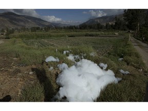 In this Dec. 7, 2018 photo, foam covers the side of a vegetable field that is irrigated with a river's sewage water in Valencia, Bolivia. The untreated fetid waters from households and factories flow into the Choqueyapu, Cotahuma and Orkohauira rivers that run from La Paz to the city's southern agricultural hub.