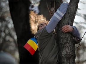 A man clings to a tree trying to get a glimpse of the military parade in Bucharest, Romania, Saturday, Dec. 1, 2018, as thousands turned out Saturday to celebrate 100 years since Romania became a modern-day state, amid concerns about rule of law and the state of democracy. Crowds braved temperatures of minus 5 Celsius (23 Fahrenheit) to watch troops tanks and military vehicles.