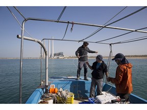 In this Monday, Jan. 21, 2019 photo, Aviad Scheinin manager of the top predator project at the Morris Kahn Marine Research Station, established by the University of Haifa, center, and his team conduct research, in the Mediterranean Sea off the coast of the northern Israeli city of Hadera. A nearby power plant may not look like the most natural habitat for sea life. But the hot water gushing from the plant is drawing schools of sharks that are increasingly endangered by overfishing.