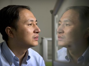 FILE - In this Oct. 10, 2018, file photo, He Jiankui is reflected in a glass panel as he works at a computer at a laboratory in Shenzhen in southern China's Guangdong province. A Chinese investigation says Chinese scientist He, behind the reported birth of two babies whose genes had been edited in hopes of making them resistant to the AIDS virus, acted on his own and will be punished for any violations of the law.