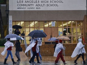 Los Angeles Unified District teacher brave the pouring rain to join in a picket line during a citywide teacher strike in front of Los Angeles High School on Monday, Jan. 14, 2019. Tens of thousands of Los Angeles teachers went on strike Monday after contentious contract negotiations failed in the nation's second-largest school district.