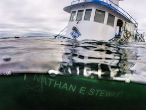 The tug boat Nathan E. Stewart is seen in the waters of the Seaforth Channel near Bella Bella, B.C., in an October 23, 2016, handout photo.