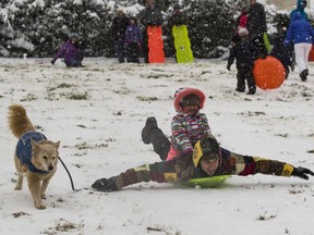 Jeremy Binstock gives his niece Olivia Binstock, 4, a sled ride as he hangs onto his dog Bagel, on Capitol Hill as a winter storm arrives in the region, Sunday, Jan. 13, 2019, in Washington.