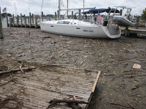 FILE - In this Aug. 1, 2018, file photo, debris washed into the Chesapeake Bay from record rainfall accumulates around a sailboat in Annapolis, Md. An annual report on the Chesapeake Bay says pollution from unusually heavy rains in 2018 contributed to the first decline in a decade in the overall health of the nation's largest estuary.