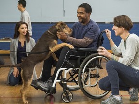 This image released by Sony Pictures shows Ashley Judd, from left, Rolando Boyce and Annie Nelson in a scene from Columbia Pictures' "A Dog's Way Home.