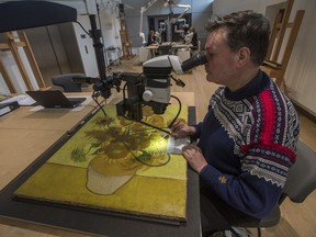 In this photo taken on Wednesday, Jan. 23, 2019, senior paintings conservator Rene Boitelle works on restoring Vincent van Gogh's world-famous "Sunflowers" painting at the Van Gogh museum in Amsterdam, Netherlands. The painting will remain in the conservation studio for another five weeks to complete the final phase of comprehensive research into the condition of the work. The painting will also be restored in order to ensure that it is preserved for future generations in the best possible manner.