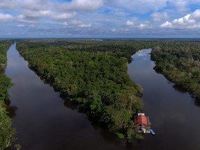 Mamiraua Sustainable Development Reserve in Amazonas state, Brazil, on June 30, 2018.