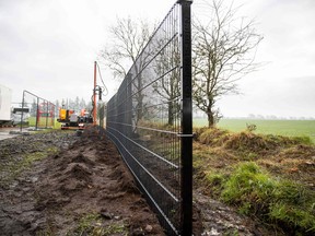 A fence is being set up at the border between Denmark, left, and Germany on January 28, 2019 in Padborg, Denmark, to prevent wild boars from crossing the border.