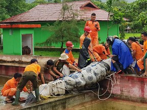 This handout picture taken on January 14, 2019 and received from conservation group Balai KSDA Sulawesi Utara on January 16 shows a 4.4 metre long crocodile named Merry being taken out of its enclosure in Minahasa in North Sulawesi, after a woman on January 10 was mauled to death in the reptile's enclosure.