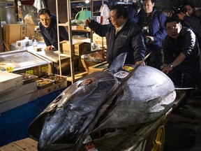 Kiyoshi Kimura, president of Kiyomura Corp., give a thumbs up to a vendor as he walks with a newly-purchased tuna towards a Sushizanmai restaurant in Tokyo, Japan, on Saturday Jan. 5, 2019. Kiyomura, operator of the Sushizanmai restaurant chain across Japan, made the winning bid of 333.6 million yen (about $3.1 million) for a 278-kilogram bluefin tuna at Toyosu Market on Saturday. MUST CREDIT: Bloomberg photo by Keith Bedford