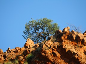 A file photo of Emily and Jessie Gaps Nature Park, Alice Springs, Australia.