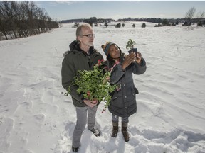 Richters herb farm owners Aku (RIGHT) and Conrad (LEFT) Richter stand in the field located beside their Goodwood herb farm and may be the new home to a grain and seed elevator and could introduce harmful weeds at their Ontario herb farm greenhouse, February 1, 2019.