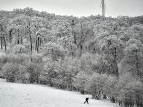 A man practices skiing close to a forest  covered by the snow in Ibaneta, near to Roncesvalles, northern Spain, Thursday, Jan. 24, 2019. Extreme low temperatures will affect the country during the week.
