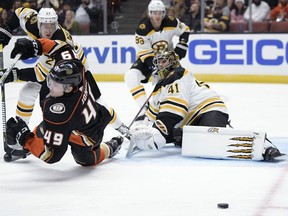 Boston Bruins goaltender Jaroslav Halak, right, deflects a shot as Anaheim Ducks left wing Max Jones, left, falls and defenseman John Moore, back left, and defenseman Kevan Miller watch during the second period of an NHL hockey game Friday, Feb. 15, 2019, in Anaheim, Calif.