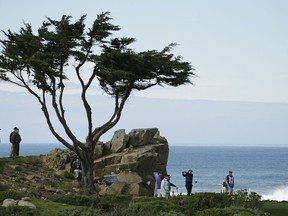 Phil Mickelson follows his drive from the 16th tee of the Monterey Peninsula Country Club Shore Course during the first round of the AT&T Pebble Beach National Pro-Am golf tournament Thursday, Feb. 7, 2019, in Pebble Beach, Calif.