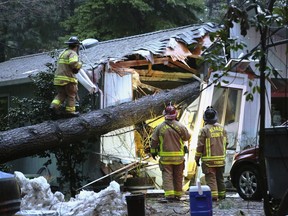 Nevada County and Nevada City firefighters work to assess a structure on Juniper Drive that sustained a tree fall, knocking out power and potentially causing a gas hazard in the process, Tuesday evening, Feb. 26, 2019. Torrential rain from a winter storm that has also dumped heavy snow in mountainous areas prompted California authorities to order mandatory evacuations for two dozen small communities north of San Francisco.