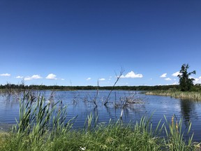 A wetlands area in the Bob Mickelson Conservation Lands in Manitoba is shown in a handout photo from the Nature Conservancy of Canada. Land near Riding Mountain National Park in Manitoba is being protected because of a family's donation of property in memory of their late brother.THE CANADIAN PRESS/HO-Nature Conservancy of Canada MANDATORY CREDIT