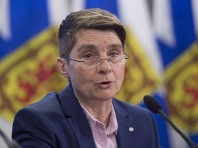 Nova Scotia Information and Privacy Commissioner Catherine Tully fields questions at a news conference in Halifax on Tuesday, Jan. 15, 2019. Nova Scotia's privacy commissioner says the province has a 20th century privacy law in place when it faces 21st century privacy challenges.
