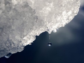 A drop of water falls off an iceberg melting in the Nuup Kangerlua Fjord in southwestern Greenland, Tuesday Aug. 1, 2017. Police are baffled after Newfoundland thieves made off with about 30,000 litres of unbottled iceberg water worth as much as $12,000. The unusual bounty, which was to be used to make vodka, was being stored in a warehouse in Port Union, N.L.