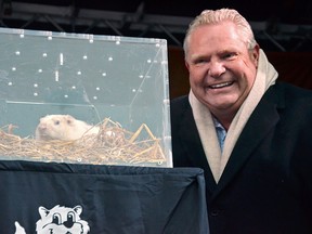 Ontario Premier Doug Ford poses next to groundhog weather forecaster Wiarton Willie in Wiarton, Ont., on Groundhog Day, Feb. 2, 2019.