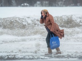 A pedestrian walking along Baseline Rd next to the Experimental Farm fields battles high winds and blowing snow.