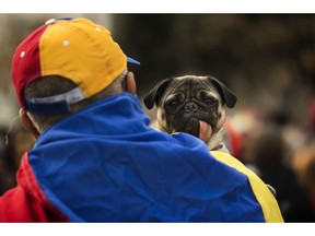 A Venezuelan man holds his dog as he takes part in a rally in Catalonia square, in Barcelona, Spain, Saturday, Feb. 2, 2019. Hundreds of Venezuelans gathered in downtown Barcelona, to express their support for Juan Guaido, who declared himself interim president of Venezuela last week. The gathering was one of several expected around the world to coincide with a rally planned by Guaido in Venezuela.