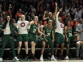 Miami players react on the bench during the second half of an NCAA college basketball game against Notre Dame, Thursday, Feb. 7, 2019, in Coral Gables, Fla.