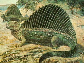 Dimetrodon painting by Charles R. Knight, Edaphosaurus in the background.