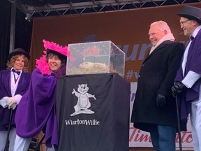 Regan McKenzie, Mayor of the Town of South Bruce Peninsula Janice Jackson, Ontario Premier Doug Ford and Bill Walker (left - right) surround groundhog Wiarton Willie in a ceremony in Wiarton, Ont.