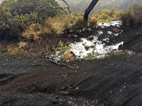 Black volcanic cinders are covered with a dusting of snow at the Polipoli State Recreation area on the slopes of Haleakala near Kula on the Hawaii island of Maui, Monday, Feb. 11, 2019. A strong storm hitting Hawaii has knocked out power, brought down tree branches, flooded coastal roads -- and even brought snow. Snow is not unheard of in mountainous parts of the tropical island chain, but officials say the coating at 6,200 feet (1,900 meters) at the state park on Maui could mark the lowest-elevation snowfall ever recorded in the state.