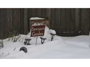 This Monday, Feb. 18, 2019 photo shows a garden dedicated to stillborn Sawyer Schmitz in the backyard of his parents in Chicago. In 2016, Lindsey Schmitz gave birth to him after a "textbook" pregnancy. Now, Schmitz volunteers as a resource for other women who've had stillbirths. "When you're in this club, you realize it's so much more prevalent than anyone talks about," she said.