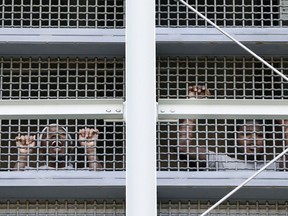 Prisoners call out to protesters and family members gathers outside the Metropolitan Detention Center, a federal prison where prisoners have been without heat, hot water, electricity and proper sanitation due to an electrical failure since earlier in the week, Sunday, Feb. 3, 2019, in the Brooklyn borough of New York.