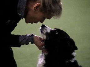 Kim Vanderwende talks to her border collie named Stella during the masters agility preliminary rounds during the Westminster Kennel Club Dog Show, Saturday, Feb. 9, 2019, in New York.