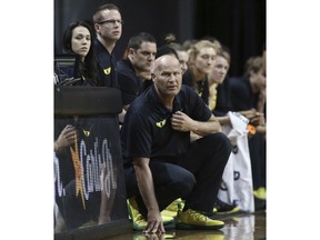 Oregon coach Kelly Graves watches from the bench area during the first half of the team's NCAA college basketball game against UCLA on Friday, Feb. 22, 2019, in Eugene, Ore.