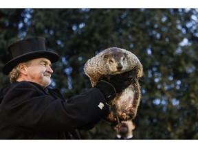 FILE - In this Feb. 2, 2017 file photo, Groundhog Club handler John Griffiths holds Punxsutawney Phil, the weather prognosticating groundhog, during the 131st celebration of Groundhog Day on Gobbler's Knob in Punxsutawney, Pa. As the Midwest and East Coast try to recover from this week's dangerous Arctic blast, Pennsylvania's most famous groundhog is gearing up to reveal whether an early spring is on the way or if winter will stick around. Members of Punxsutawney Phil's top hat-wearing inner circle plan to reveal their forecast at sunrise on Saturday, Feb. 2, 2019.