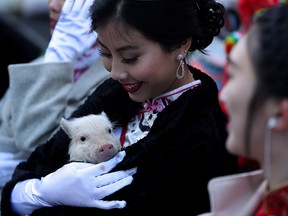 Miss Chinatown U.S.A. Jasmine Lee holds a piglet while ushering in the Chinese New Year on Feb. 5, 2019, in San Francisco, Calif. The year 2019 is the Year of the Pig.