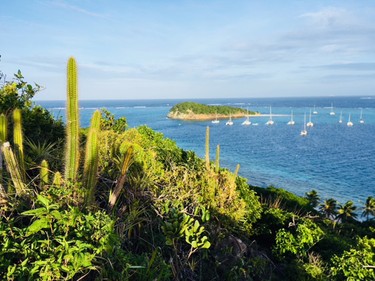The views of Tobago Cays are super from the island Petit Bateau.